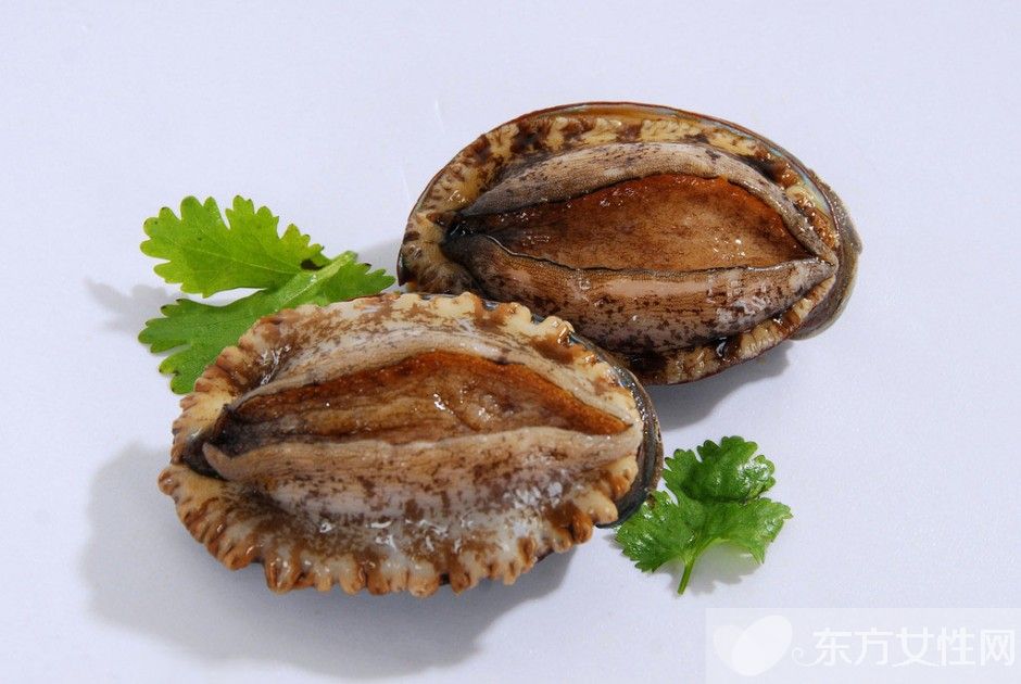 鲍鱼的营养价值及功效 鲍鱼的美味家常做法推荐
