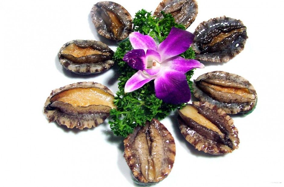 鲍鱼的营养价值及功效 鲍鱼的美味家常做法推荐