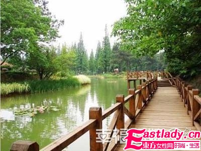 深秋初冬蜜月游 十一月好玩蜜月地推荐