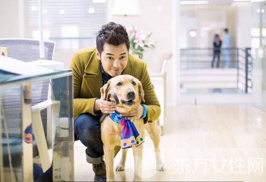  呆萌天才 金世佳个人资料 金世佳李沁恋情曝光网友祝福