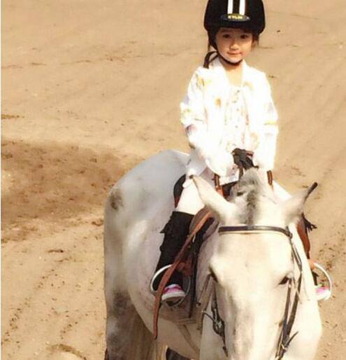 揭杨雪个人资料背景 老公女儿罕见照遭曝光