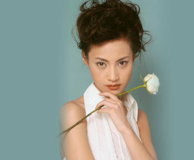 揭杨雪个人资料背景 老公女儿罕见照遭曝光