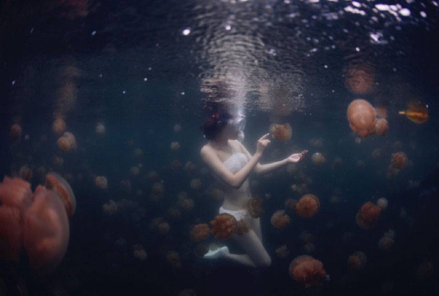 陈赫前妻许婧怀孕大肚照曝光 许婧惊人家庭背景大揭秘