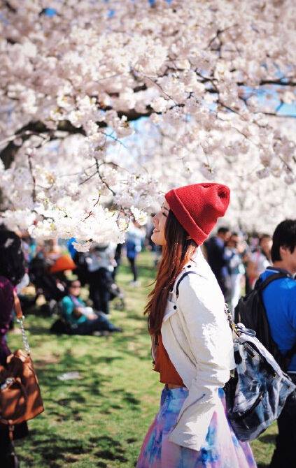 陈赫前妻许婧怀孕大肚照曝光 许婧惊人家庭背景大揭秘