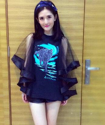 谢娜简历曝光 揭秘谢娜为什么下跪道歉