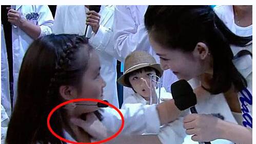 谢娜简历曝光 揭秘谢娜为什么下跪道歉