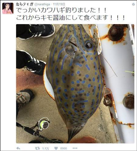 吃鱼前晒照片 竟捡回了一条命