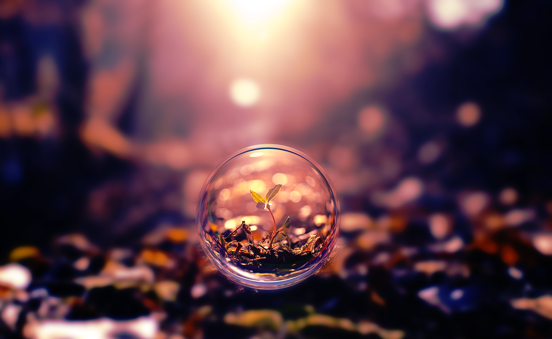 垃圾分类是什么 盘点关于垃圾分类的基本常识