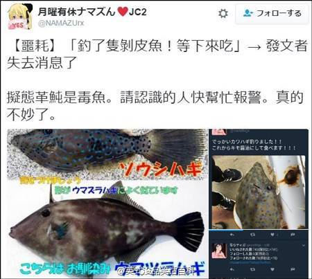 吃鱼前晒照片 竟捡回了一条命