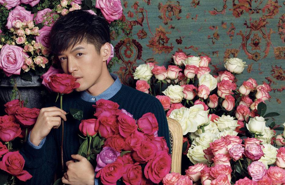 胡歌车祸原因疑点重重 过程曝光简直触目惊心