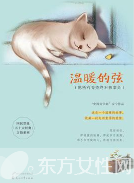 温暖的弦电视剧剧情介绍 《温暖的弦》演员表