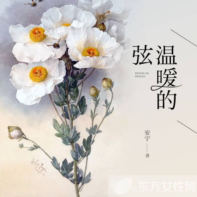 温暖的弦电视剧剧情介绍 《温暖的弦》演员表