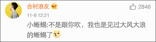 海滩群蛇追杀海蜥蜴 小蜥蜴还是成功脱身