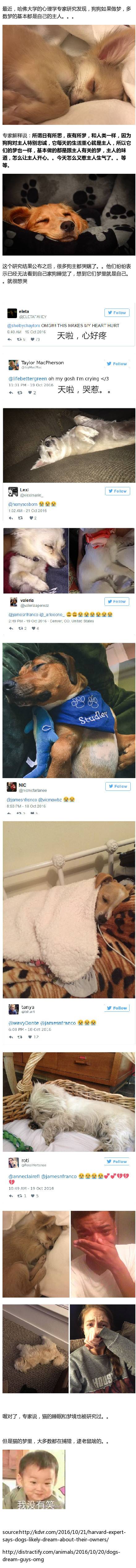 狗狗梦境多数关于主人 养狗网友感动的已哭瞎
