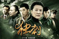 电视剧《独刺》剧情介绍 《独刺》演员表