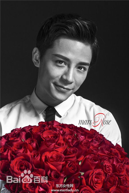 至上励合成员资料介绍