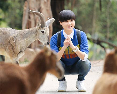 揭秘李宇春家庭背景 李宇春凭什么可以那么牛逼