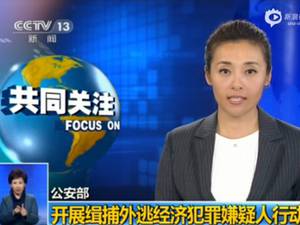 浙江永康美女老板帮弟弟还赌债惹诈骗罪 出逃非洲终被捕