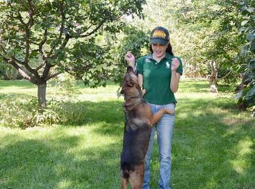 演员刘晓庆有孩子吗 刘晓庆被萌狗扑身失色