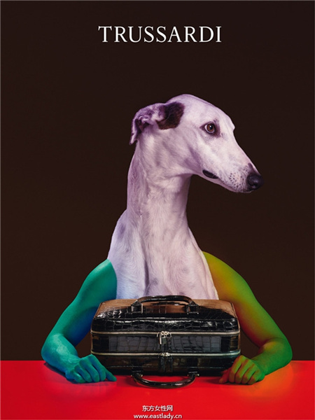 Trussardi 2014秋冬新款手提包系列