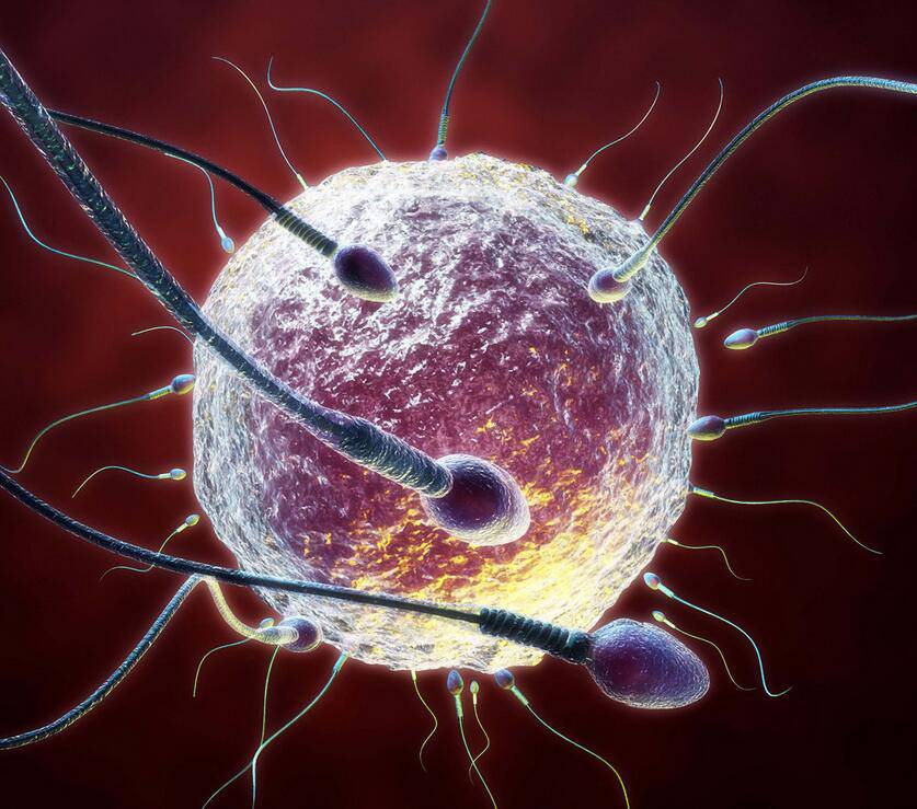 最佳受孕姿势真人教学 这么做最容易怀上宝宝