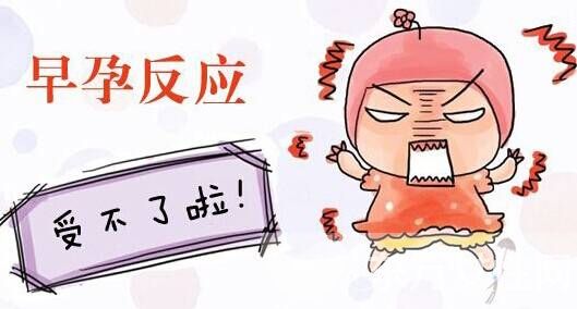 孕前检查的最佳时间 孕前检查的注意事项有哪些