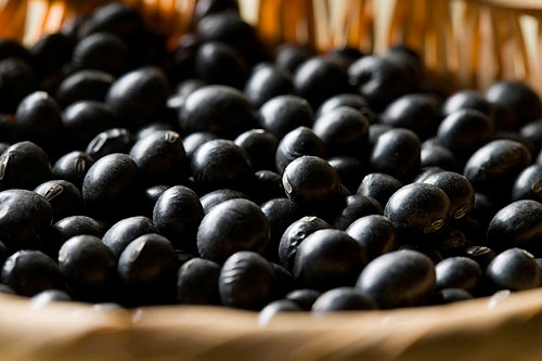 受孕最佳时间是什么时候 如何计算排卵期