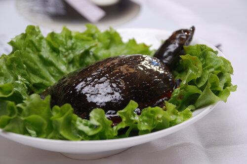 孕妇能吃鳖吗 鳖有哪些营养价值