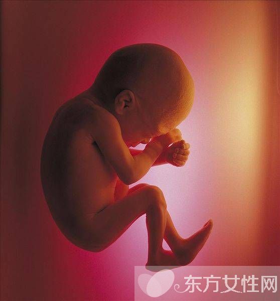 胎儿发育迟缓的原因 胎儿宫内发育迟缓的危害