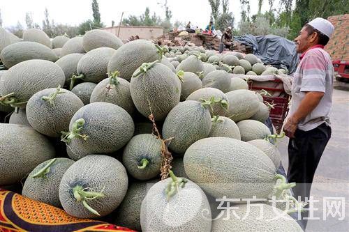 孕妇可以吃哈密瓜吗 孕妇吃哈密瓜的注意事项