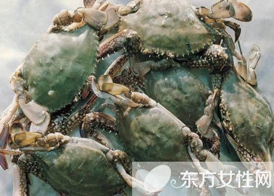 孕妇可以吃螃蟹吗 孕妇怀孕时的饮食应注意什么