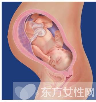 胎儿发育迟缓的原因 胎儿宫内发育迟缓的危害