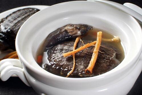 孕妇能吃鳖吗 鳖有哪些营养价值