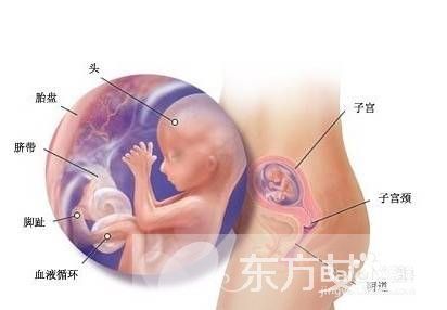 宫外孕手术多少钱 宫外孕的早期症状