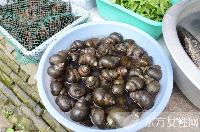 孕妇可以吃田螺吗  这17种东西孕妇千万别碰