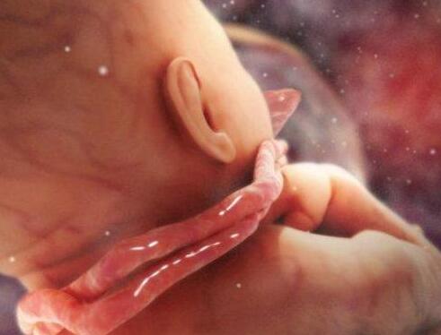 孕期胎儿缺氧的表现症状 准妈妈赶紧来看看