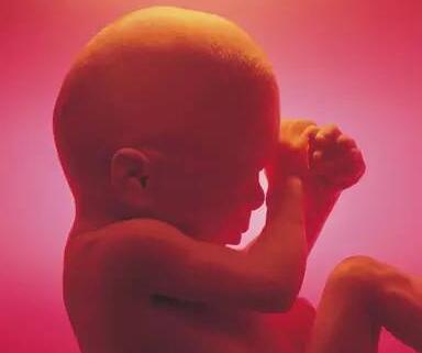 孕期胎儿缺氧的表现症状 准妈妈赶紧来看看