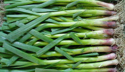 孕妇可以吃蒜苗吗 论蒜苗的营养价值