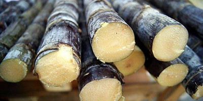 孕妇不能吃什么水果 这些怀孕饮食禁忌要知道