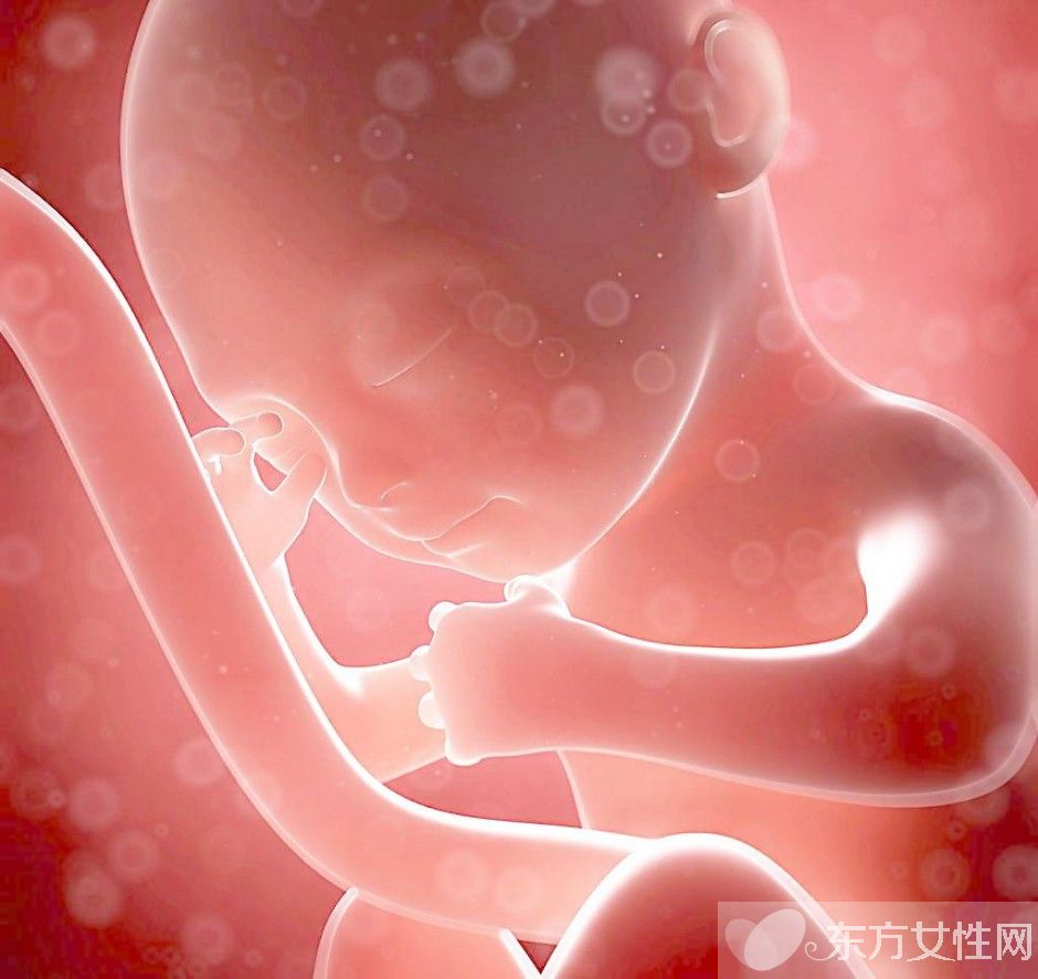 胎儿多少周入盆 胎儿脐带绕颈应这样做