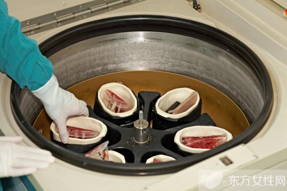 脐带血有必要保存吗 脐带血别扔可以救命的