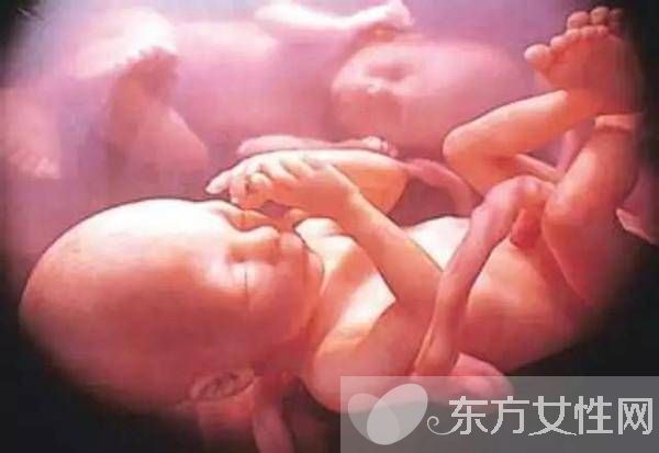 脐带血有必要保存吗 脐带血别扔可以救命的