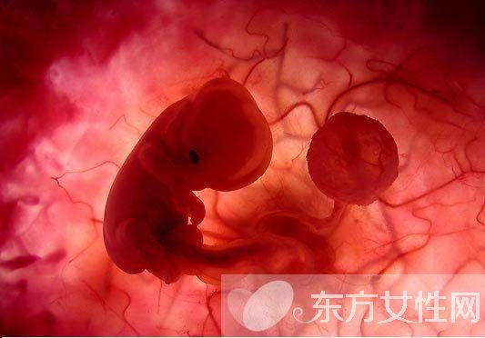 脐带血有必要保存吗 脐带血别扔可以救命的