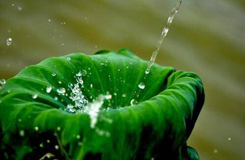 专治小孩流鼻血的偏方 宝妈一定要收藏