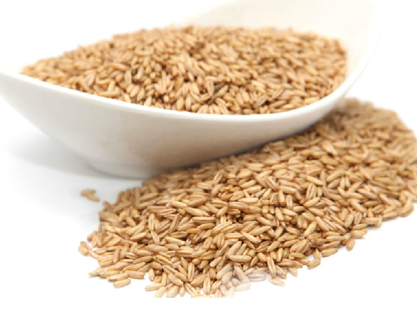 燕麦米的作用 吃多了会有什么副作用