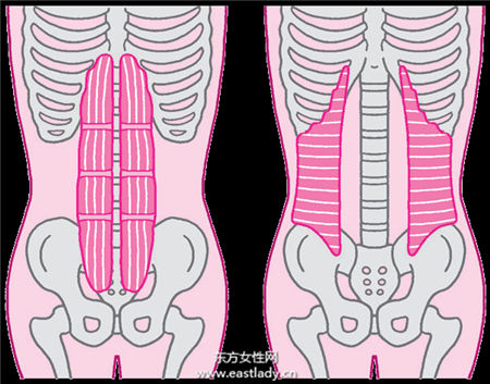 肚子老减不下去 原来是姿势错了