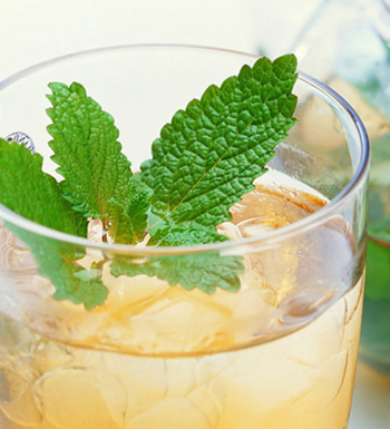 健康减肥 四款能快速减肥的良茶