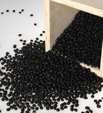 黑豆减肥法 瘦身养颜治便秘