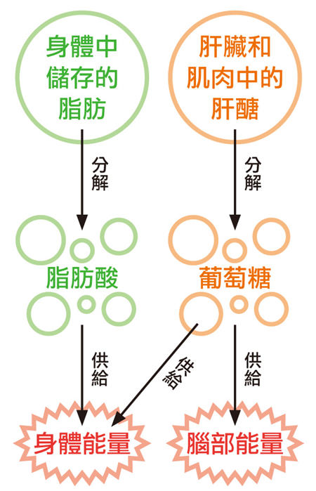 瘦不了怎么办 现代轻断食燃脂好方法