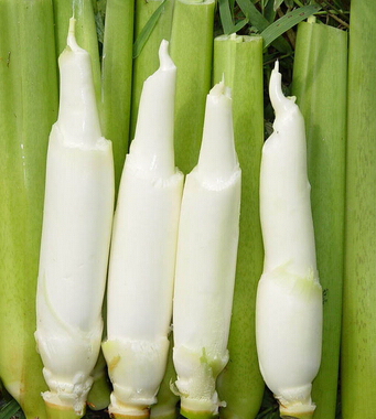 喝什么茶减肥 4款减肥茶 喝 掉多余赘肉